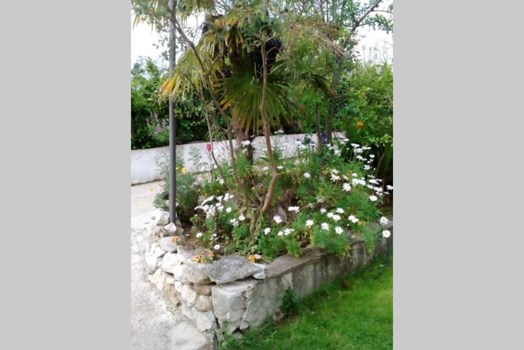 Appartamento Residenza Flores Pescara Esterno foto